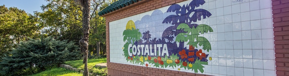 Properties For Sale in Costalita, Estepona